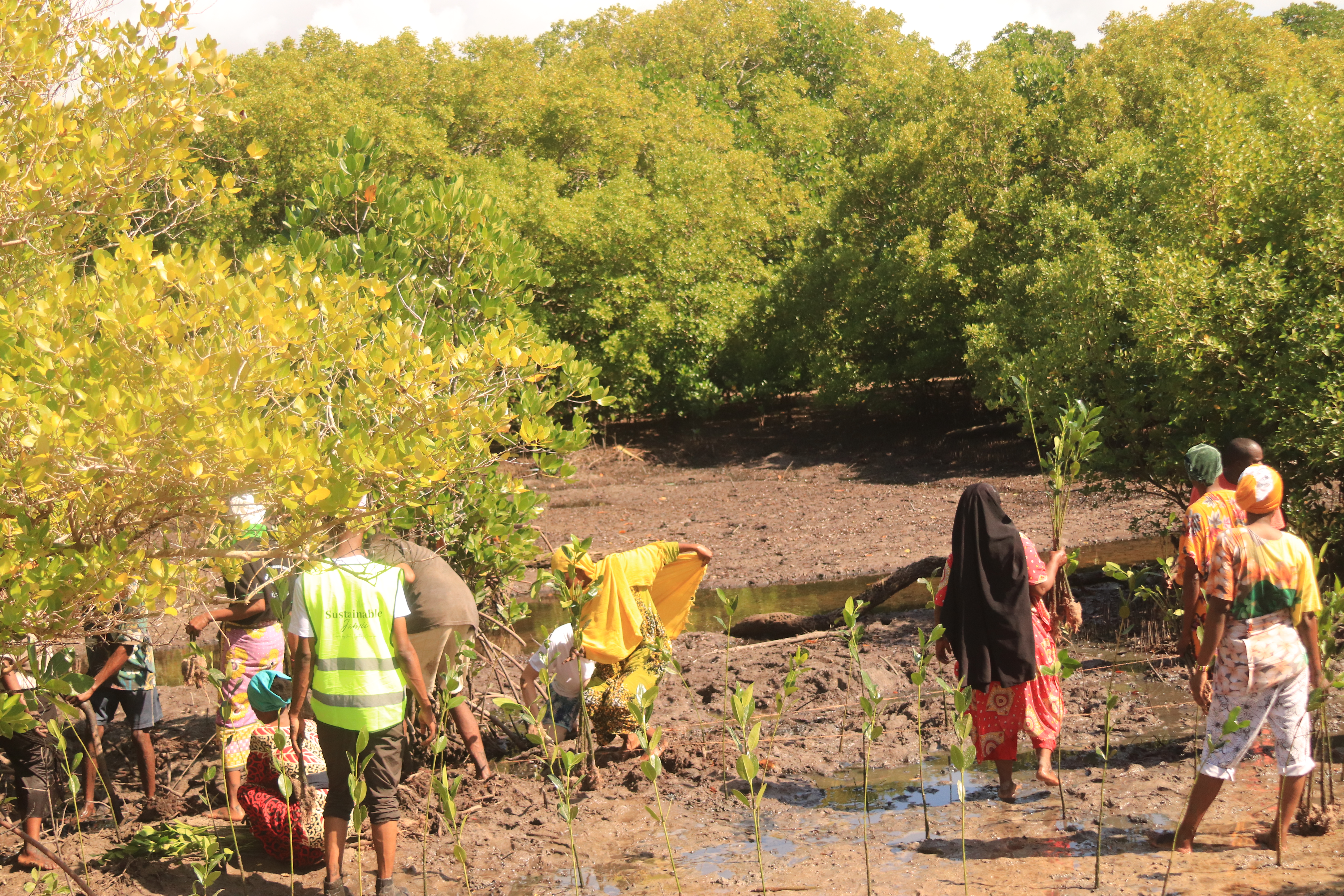 Climate Justice